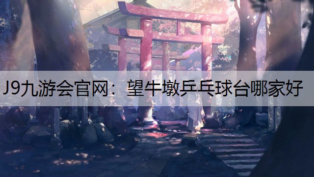 J9九游会官网：望牛墩乒乓球台哪家好